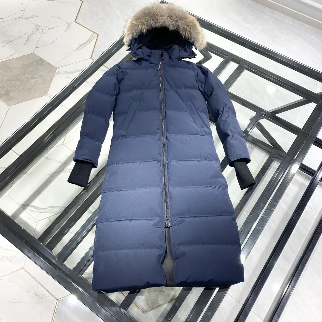 P860 🇨🇦Top original Big Goose 22 parka coats navy blue hanging photo flat display picture book🇨🇦
